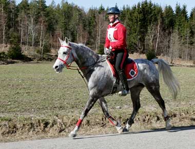 Maria Hagman-Eriksson                                                           